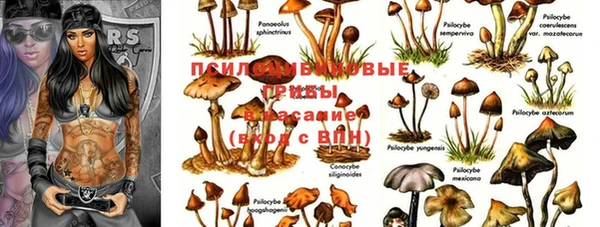 прущие крисы Магадан