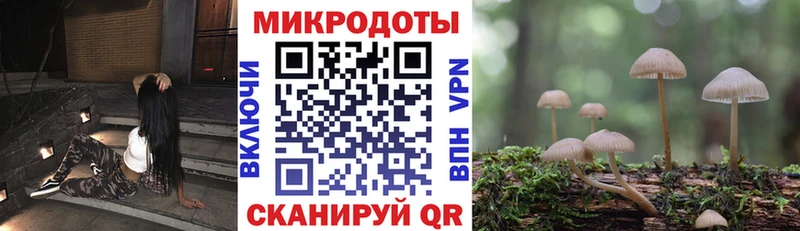 Галлюциногенные грибы мухоморы Вихоревка